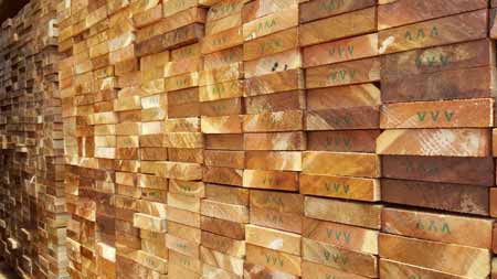 Different Types of Cedar Wood