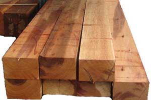 Cedar Wood