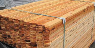 cedar wood and pine wood maintenance