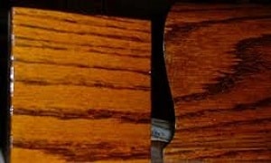 Shellac Over Tung Oil