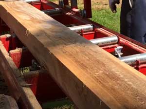 How To Treat Hemlock Wood