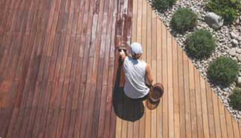 Types Of Timber Treatment